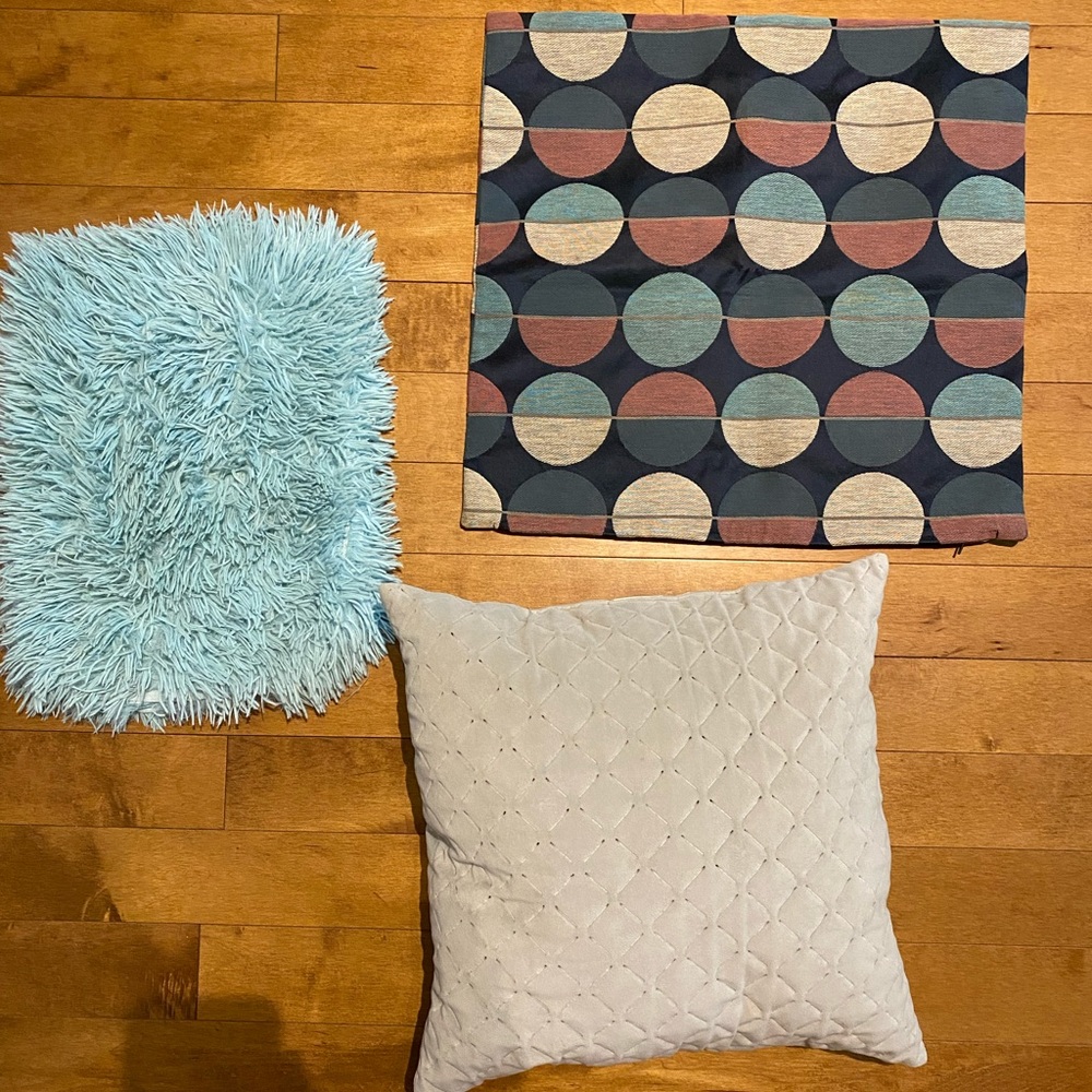 One throw pillow and 3 pillow covers (blush pink plain one not pictured)